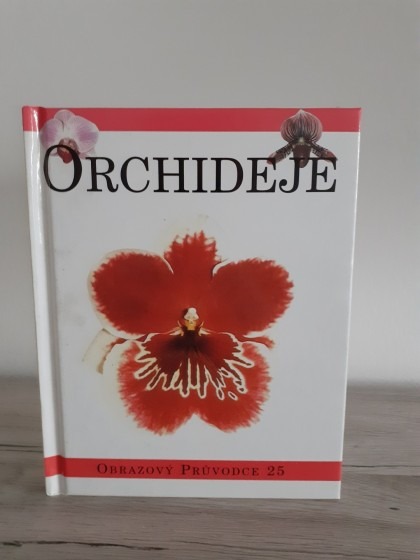 Orchideje