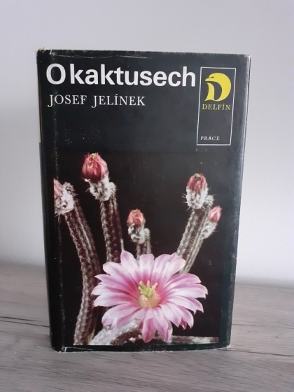 O kaktusech