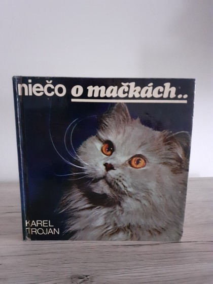 Niečo o mačkách...