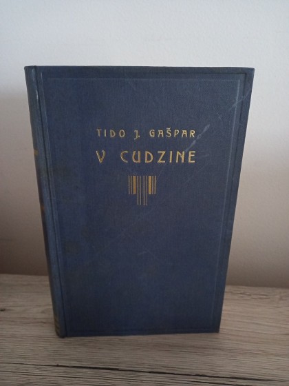 V cudzine