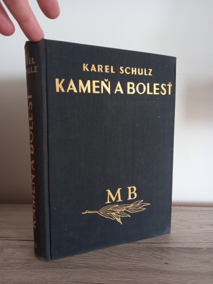 Kámen a bolest