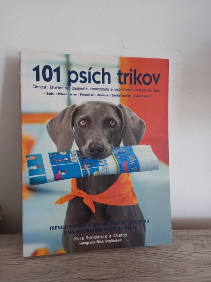 101 psích trikov