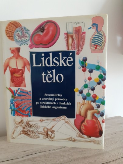 Lidske telo