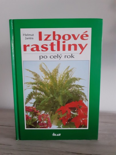 Izbové rastliny po celý rok