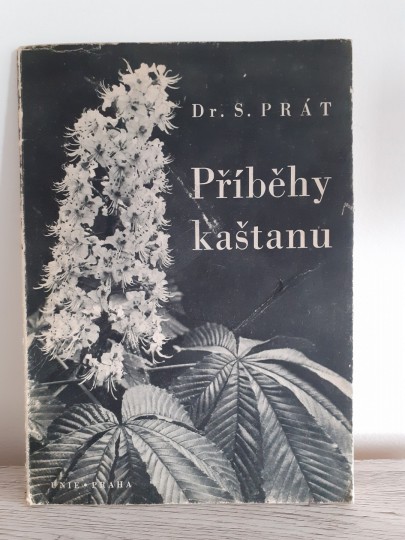 Příběhy kaštanu