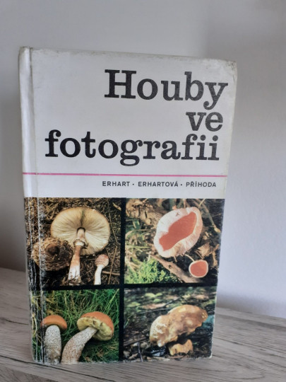 Houby ve fotografii