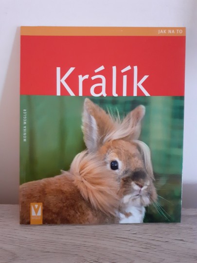 Králík