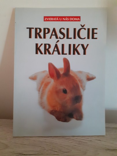 Trpasličie králiky