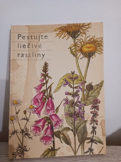 Pestujte liečivé rastliny